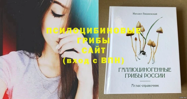 мяу мяу кристалл Вуктыл