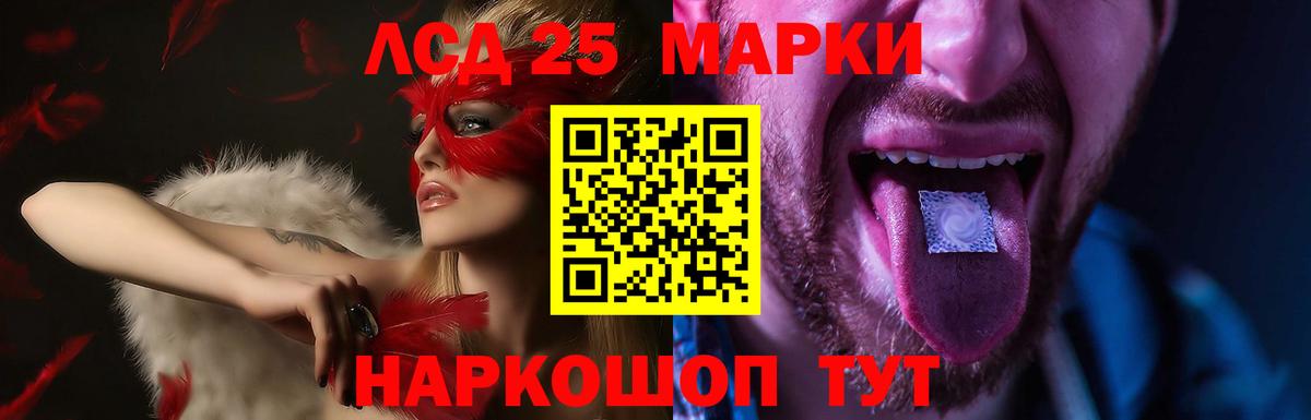 A-PVP Сокол