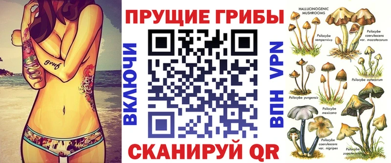 Псилоцибиновые грибы ЛСД Сокол