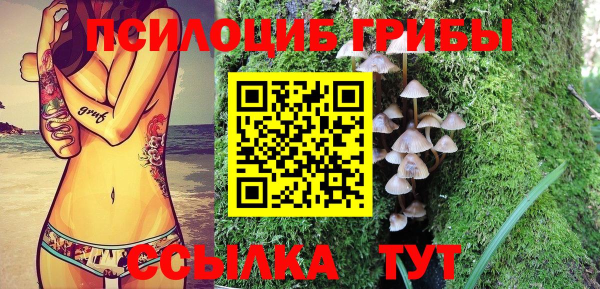 Сокол  Псилоцибиновые грибы мицелий  Вход с VPN 