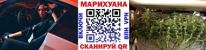 МАРИХУАНА семена  купить   Сокол 