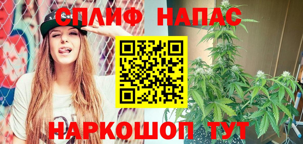 Бошки Шишки ГИДРОПОН Сокол
